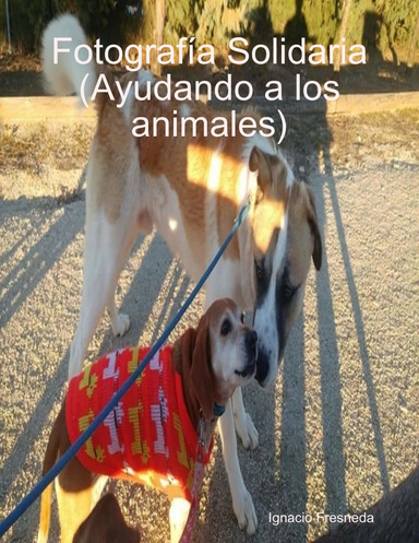 Fotografía Solidaria (Ayudando a los animales)