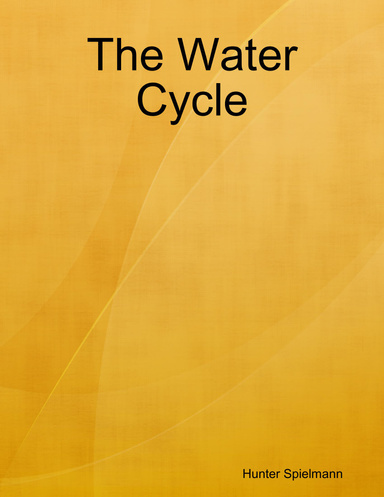 The Water Cycle