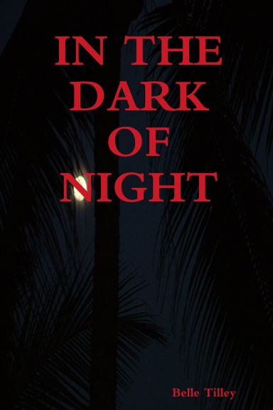 dark of night book cover