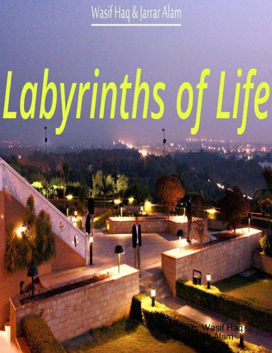 Labyrinths of Life