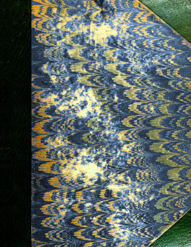 Bloch, Henniq & Schneider's Fishes