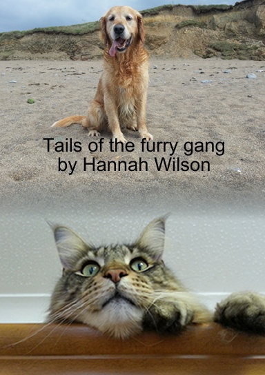 Tails of the furry gang