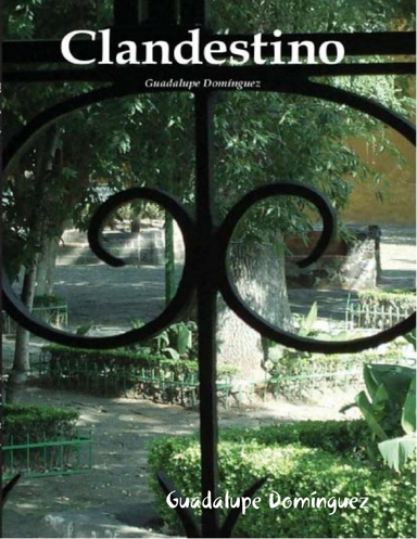 Clandestino