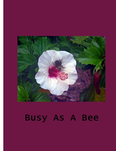 Busy As A Bee