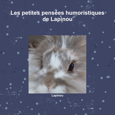 Les petites pensées humoristiques de Lapinou