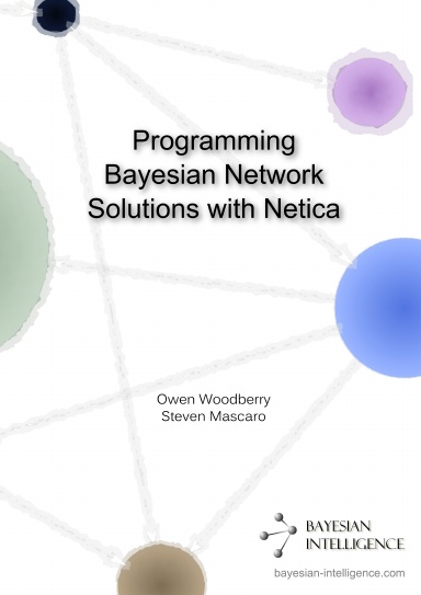 Programming Bayesian Network Solutions with Netica