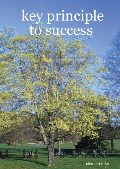 key principle to success