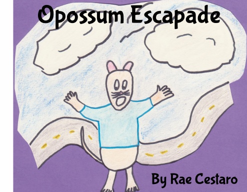 Opossum Escapade