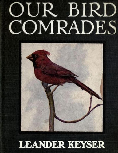 Our Bird Comrades.