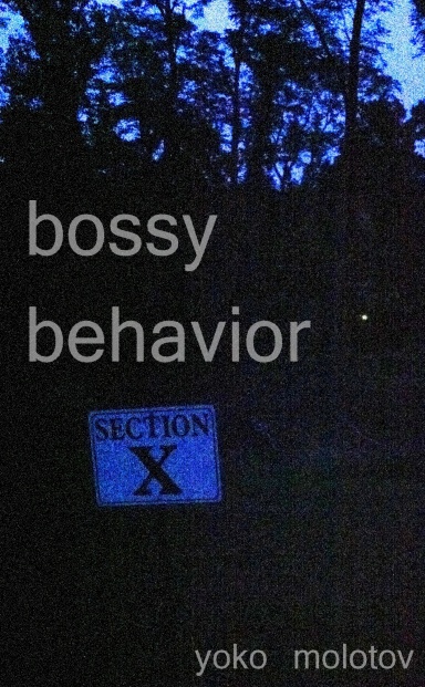 Bossy Behavior