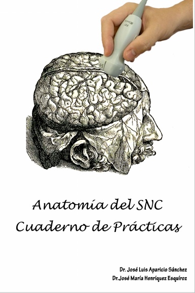Prácticas de Neuroanatomía para estudiantes de Enfermería