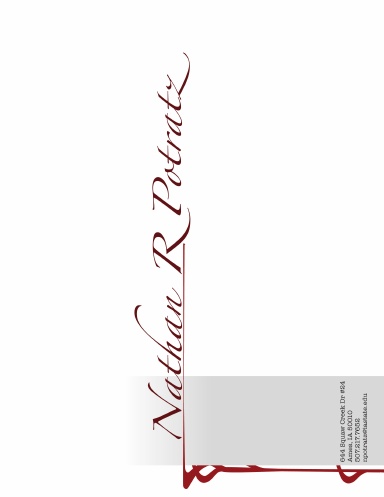 Portfolio 2007 alternate 2