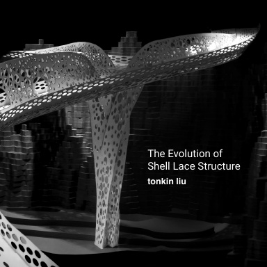 The Evolution of Shell Lace Structure