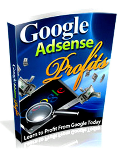 Google Adsense Profits