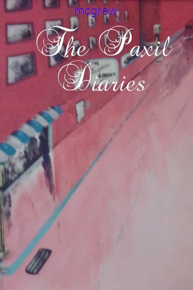 The Paxil Diaries (paperback)