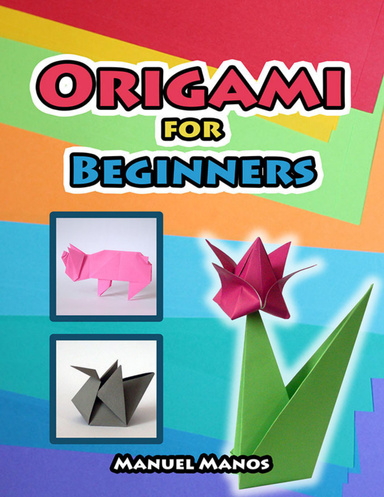 Origami for Beginners