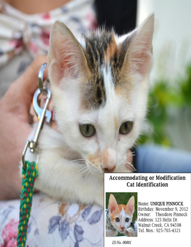 HUMAN-FELINE AND FELINE ACCESS LAW BONDING GUIDELINES