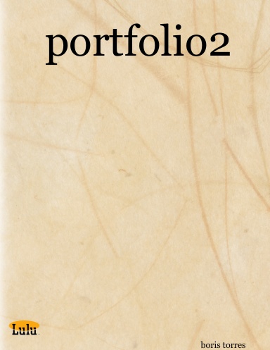 portfolio2