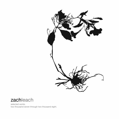 zach leach : selected works