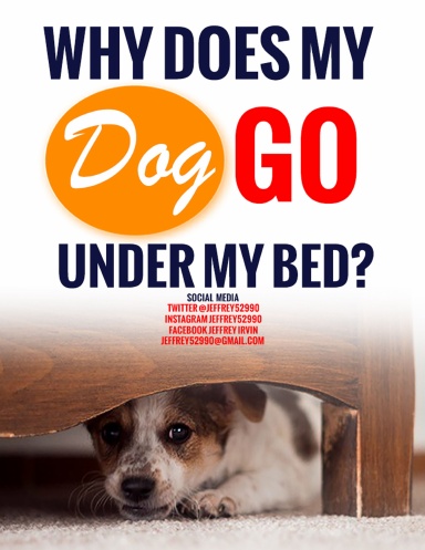 Why Does My Dog Go Under My Bed?