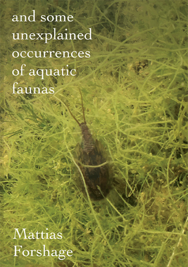 and some unexplained occurrences of aquatic faunas