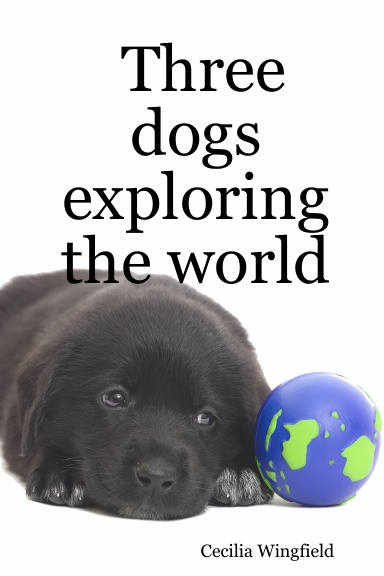 Three dogs exploring the world