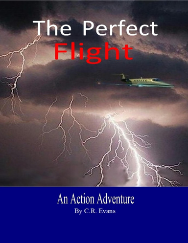 The Perfect Flight