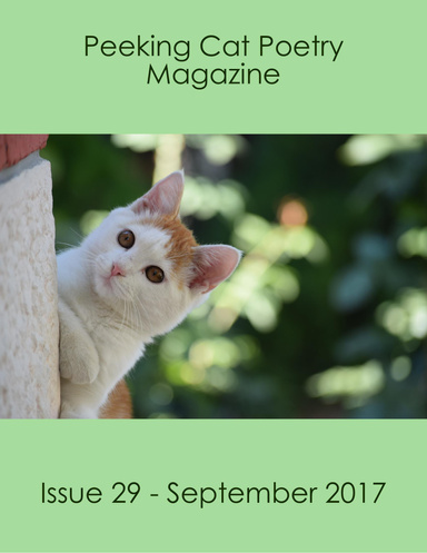 Peeking Cat Poetry Magazine Issue 29 - September 2017