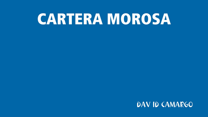 CARTERA MOROSA