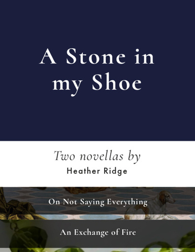 A Stone In My Shoe