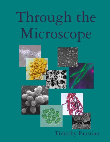 Through the Microscope