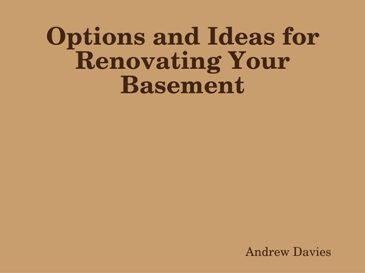 Options and Ideas for Renovating Your Basement