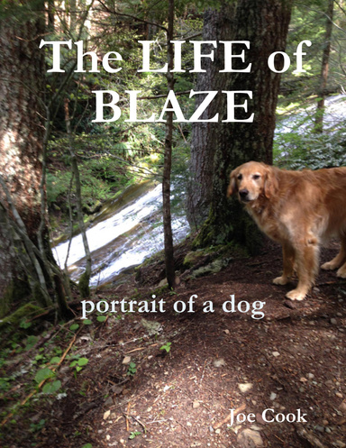 The Life of Blaze - Portrait of a Dog