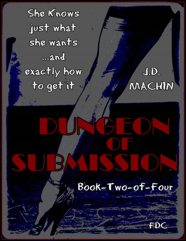 Dungeon of Submission - Book Two of Four