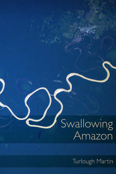 Swallowing Amazon