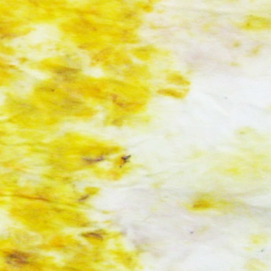 Impart: Composting Fashion