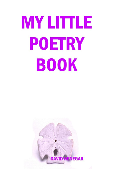 MY LITTLE POETRY BOOK