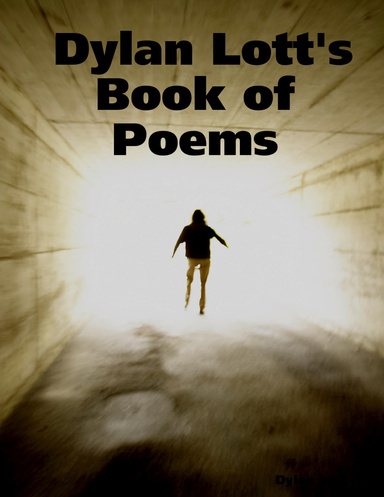 Dylan Lott's Book of Poems
