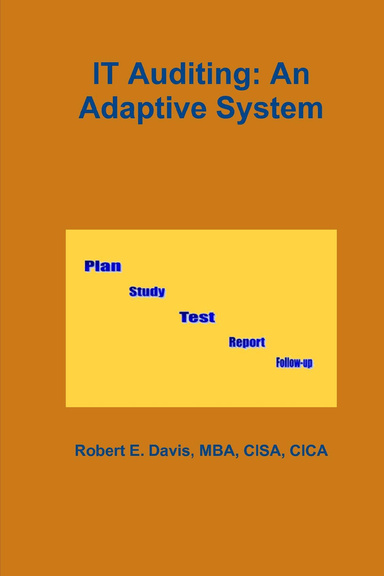 IT Auditing: An Adaptive System
