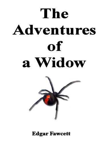 The Adventures of a Widow