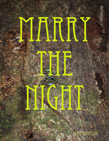 Marry The Night