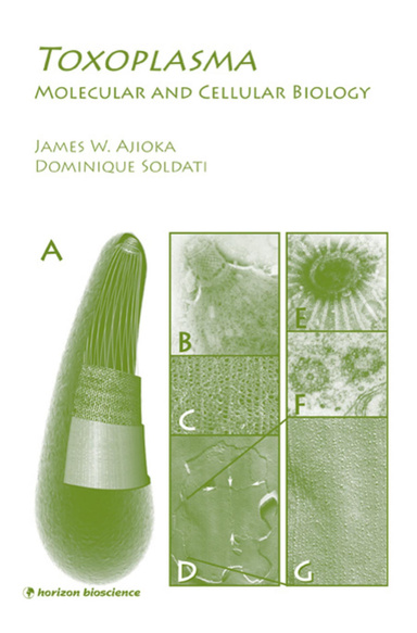 Toxoplasma: Molecular and Cellular Biology