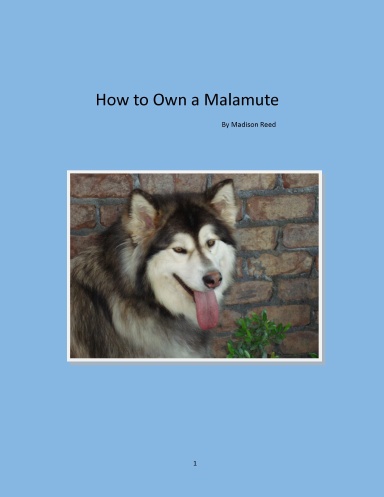 How to Own a Malamute