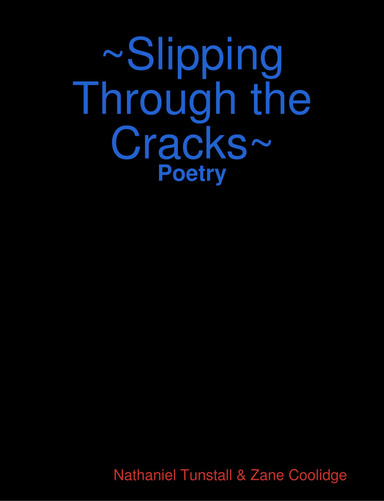 Slipping Through the Cracks Poetry