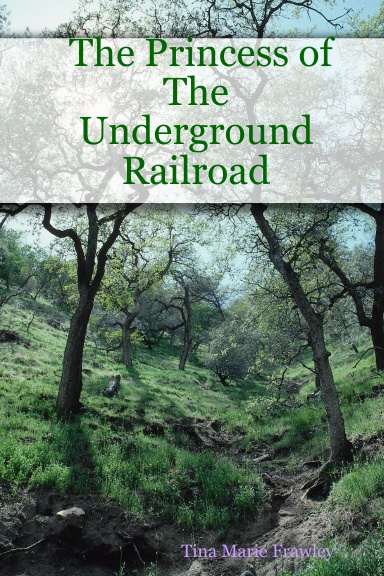 The Princess of The Underground Railroad