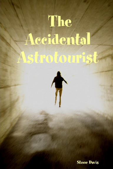 The Accidental Astrotourist