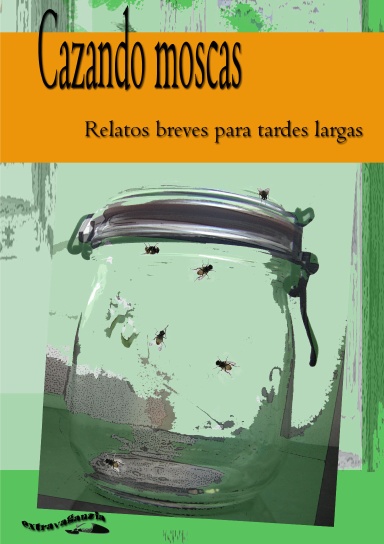Cazando moscas