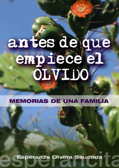 Antes de que empiece el Olvido