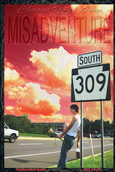 Choose Your Own Misadventure: 309