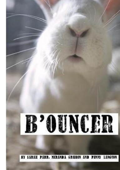 B'ouncer